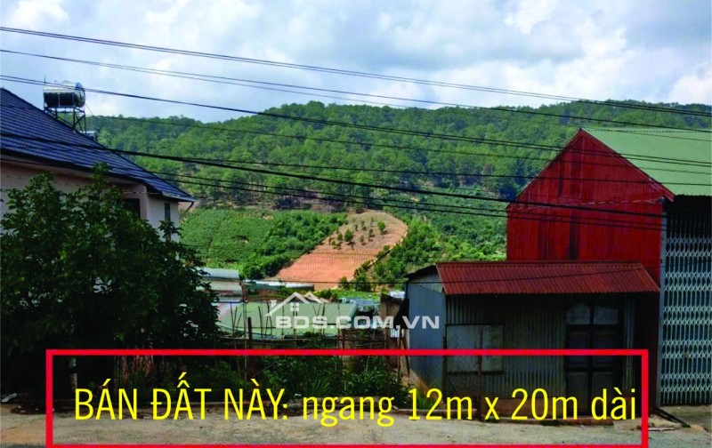 Đất Thổ Cư Mặt Tiền Đường Nhựa Xuân Sơn - VỊ TRÍ TUYỆT ĐẸP...!!!